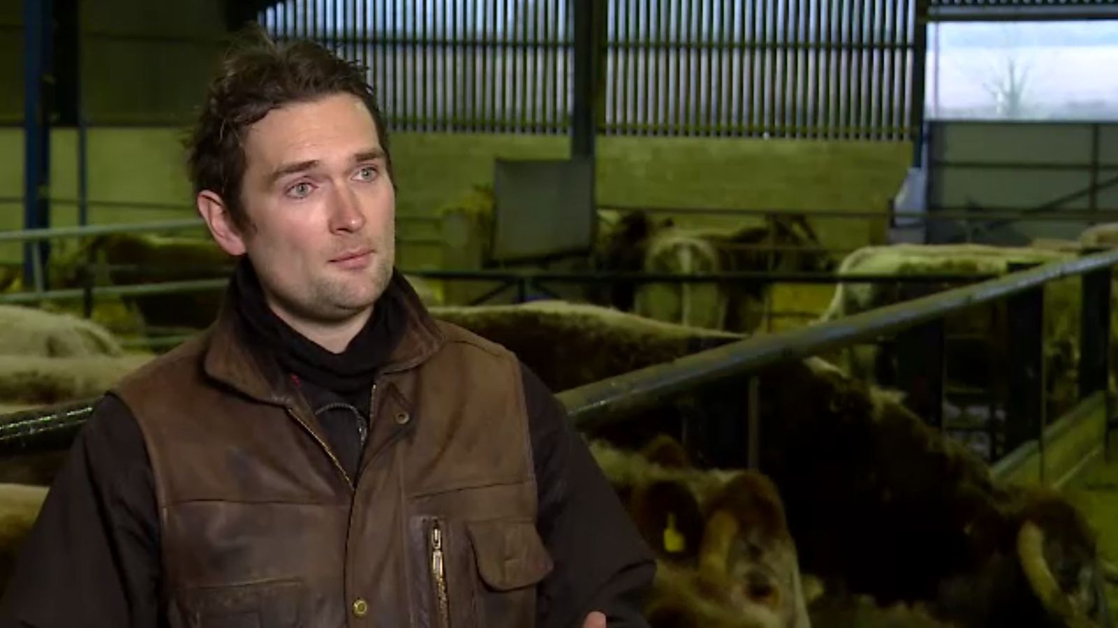 Joe Stanley je farmár s hovädzím mäsom v Leicestershire